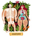 Human Anatomy Set Royalty Free Stock Photo