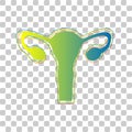 Human anatomy. Uterus sign. Blue to green gradient Icon with Four Roughen Contours on stylish transparent Background. Illustration Royalty Free Stock Photo