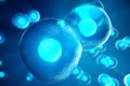 Human or animal cells on blue background. Concept Early stage embryo Medicine scientific concept, Stem cell research and