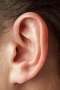 Human auricle, men, outer ear, structure and anatomy, hearing loss and testing, selective Royalty Free Stock Photo