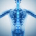 Human backbone Royalty Free Stock Photo