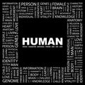 HUMAN. Royalty Free Stock Photo