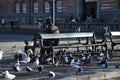 Human and birds attachement makle feed birds in Copenhagen