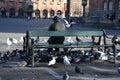 Human and birds attachement makle feed birds in Copenhagen