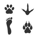 Human and birds and mammals - footprints silhouettes set isolated on white background, such as idea of logo in gray.