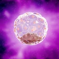 A human blastocyst Royalty Free Stock Photo