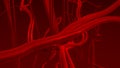 Human blood arteries and veins