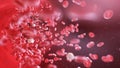 Human blood cells Royalty Free Stock Photo