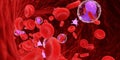 The human blood cells and lymphocytes Royalty Free Stock Photo
