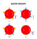 Blood Type Groups Symbols Royalty Free Stock Photo