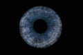 Blue human pupil on black background. Macro Royalty Free Stock Photo