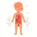 Human body anatomy, child