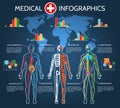 Human Body Anatomy Infographic