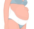 Human body anatomy_Pregnancy Belly Band