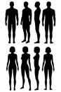 Human body anatomy, body silhouette Royalty Free Stock Photo