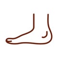 Human body ankle foot anatomy organ health line icon style