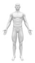 Blank Anatomy Figure - Front view