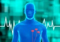 Human body blue hologram. Cardiac arrhythmia lack of rhythm in the heartbeat