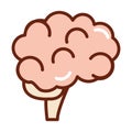 Human body brain anatomy organ health line and fill icon