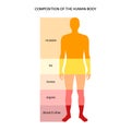 Human body composition