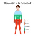 Human body Composition Royalty Free Stock Photo