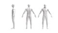 Human body 3d rendering of a human body isolated in white background Royalty Free Stock Photo