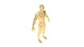 Human body 3d rendering of a golden human body in white background Royalty Free Stock Photo