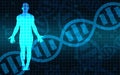 Human body with DNA structure Royalty Free Stock Photo