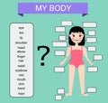 Human body. Educational children game. learning vocabulary and anatomy