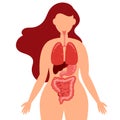 Human body health care infographics of lungs, digestive tract, large intestine, liver and stomach