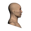 Human head - Side view