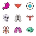 Human body icons set, cartoon style Royalty Free Stock Photo