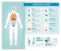 Human body infographics