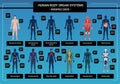 Human Body Infographics Royalty Free Stock Photo