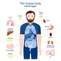 Human body. internal organs anatomy Royalty Free Stock Photo