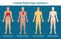 Human Body Organ Systems Poster