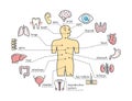 Medical anatomy vector infographics poster with human body internal organs outline icons