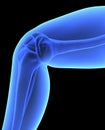 The Human Body - Knee. X-ray Effect