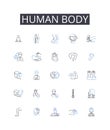 Human body line icons collection. Mental health, Fashion style, Economic growth, Environmental sustainability, Political