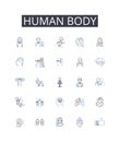 Human body line icons collection. Mental health, Fashion style, Economic growth, Environmental sustainability, Political