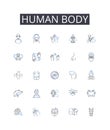 Human body line icons collection. Mental health, Fashion style, Economic growth, Environmental sustainability, Political