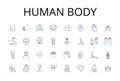 Human body line icons collection. Mental health, Fashion style, Economic growth, Environmental sustainability, Political