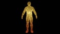 Human body made of glowing yellow points, dots. 3d render illustration Royalty Free Stock Photo