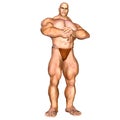 Human Body - Muscular Man