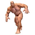 Human Body - Muscular Man