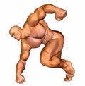 Human Body - Muscular Man