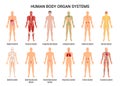 Human Body Organ Systems Poster Royalty Free Stock Photo