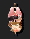 Human body organs, general view, organs location Royalty Free Stock Photo