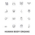 Human body organs, human body, medical, human anatomy, body system, body part line icons. Editable strokes. Flat design Royalty Free Stock Photo