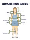 Human body parts anatomy with basic physiological division outline diagram